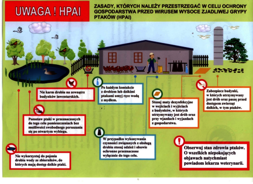 Informacja ws. zagrożenia wystąpienia wysoce zjadliwej grypy ptaków w woj. warmińsko-mazurskim