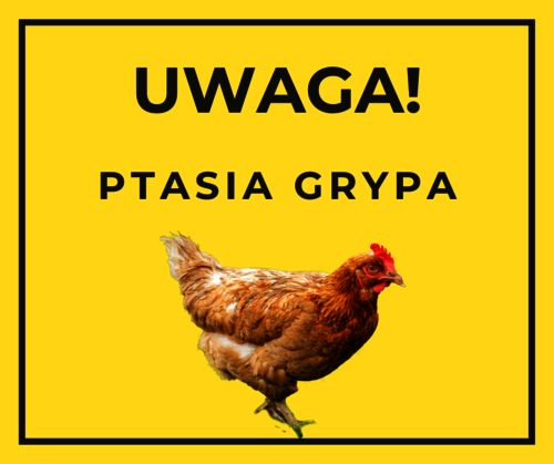 Uwaga - informacja w sprawie ogniska ptasiej grypy